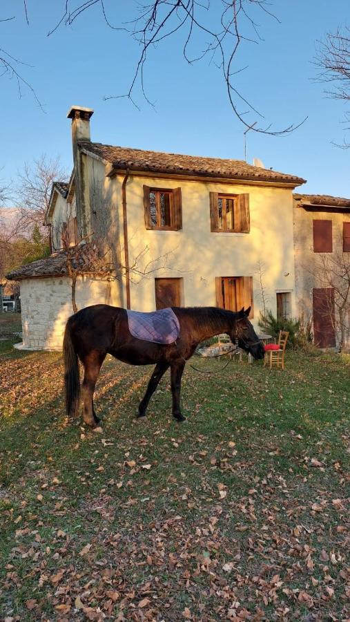 Вилла La Caneveta Al Piave Вальдоббьадене Экстерьер фото