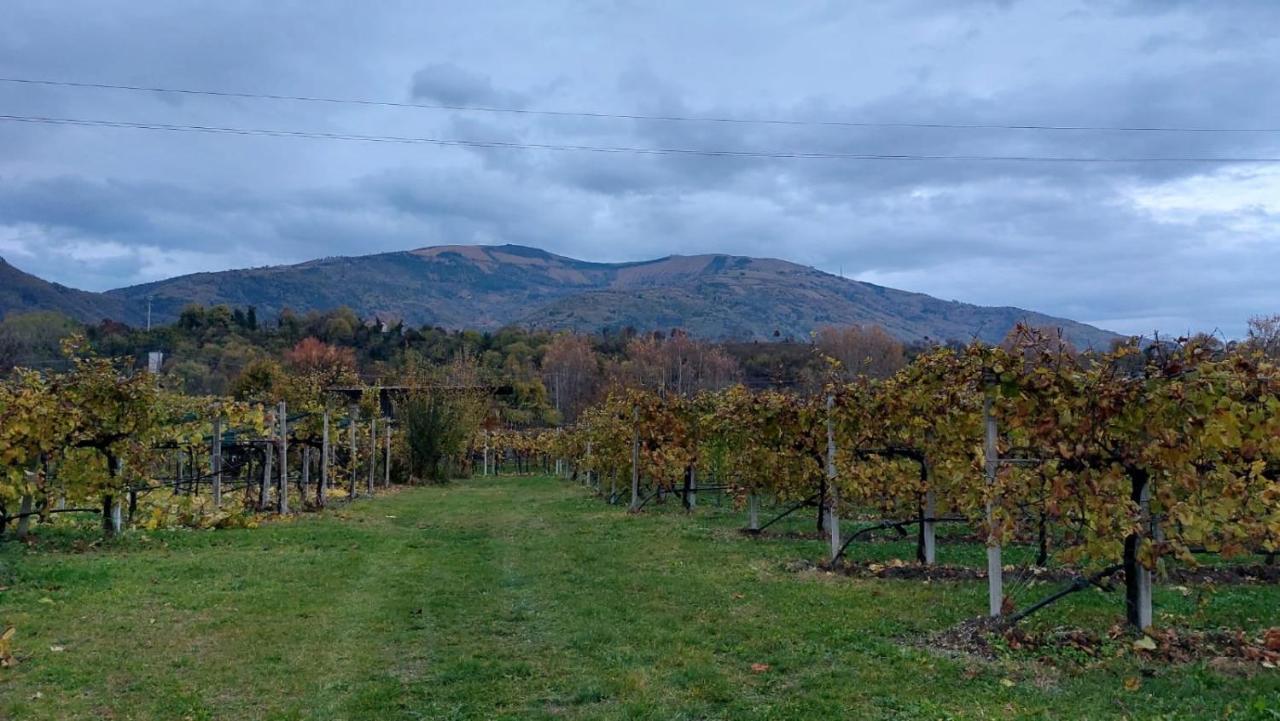 Вилла La Caneveta Al Piave Вальдоббьадене Экстерьер фото